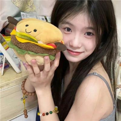 狮子护卫队第一季
