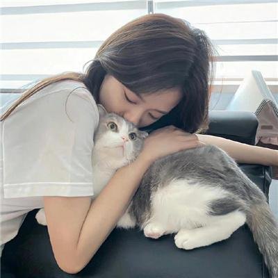 别惹白鸽之她的秘密